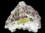 Apatite Crystals with Magnetite & Quartz - Durango, Mexico #64020-1